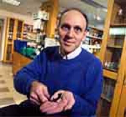 Mark Keating (Harvard Medical School) muestra un tritón en su mano.