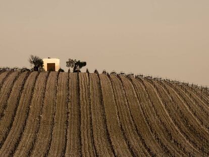 ‘Soledades del campo andaluz ’
