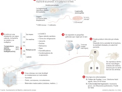 El contagio de legionelosis