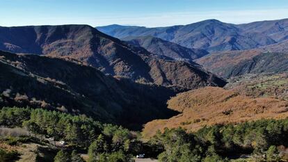 Panorámica del bosque de la Devesa da Rogueira.