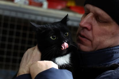 Volodymyr Horobets, quien huyó de la invasión rusa de Mariupol, sostiene a su gato 'Charly' antes de entregarlo al cuidador de mascotas, Rama Kreica, en un refugio de animales en Lviv, el 7 de marzo. Kreica y su equipo de voluntarios trabajan para evacuar a los animales abandonados y darles refugio en Letonia.
