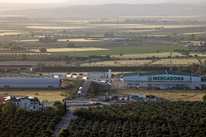 Vista panorámica del centro logístico de Mercadona en Antequera.