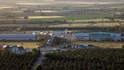 Vista panorámica del centro logístico de Mercadona en Antequera.