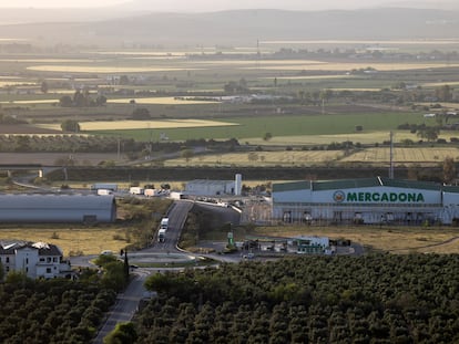 Vista panorámica del centro logístico de Mercadona en Antequera.