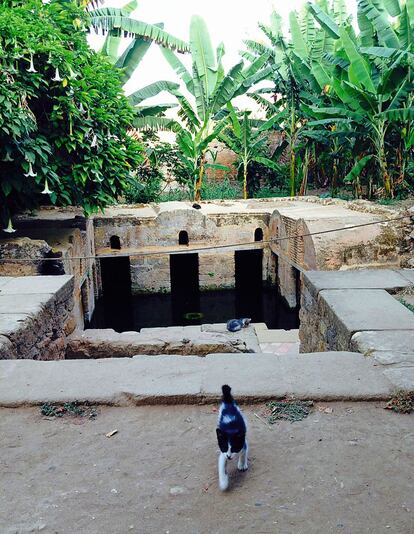 Rabat. Estanque de las Anguilas, en las ruinas romanas de Chellah. La imagen es del final del Ramadán.