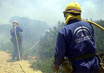 Bomberos del Infoca, en el incendio originado ayer en Tarifa.