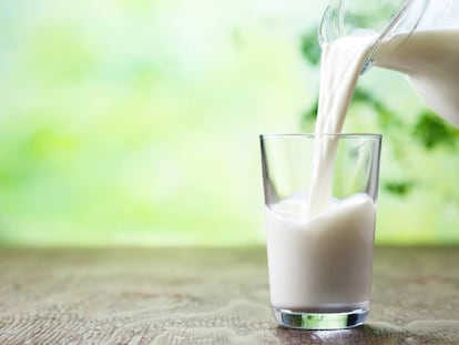 Semidesnatada: leche con menos grasa, pero qué pasa con los nutrientes