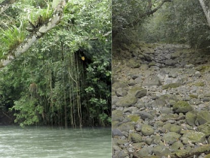 Imágenes del antes y después del Río Atoyac.