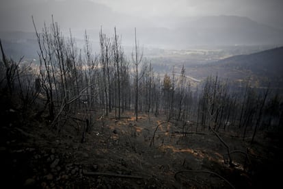 Una veintena de provincias argentinas han sido afectadas por incendios recurrentes desde 2020, propiciados en gran parte por la sequía.