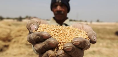 África genera al año 700 millones de toneladas de productos agrícolas.