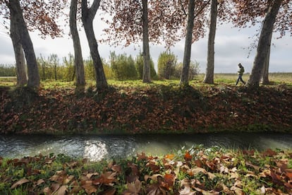 Una acequia del canal d’Urgell entre Golmés y Mollerussa, en la comarca del Pla d’Urgell (Lleida).