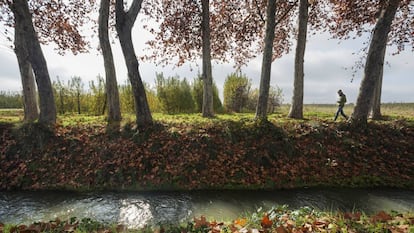 Una acequia del canal d’Urgell entre Golmés y Mollerussa, en la comarca del Pla d’Urgell (Lleida).