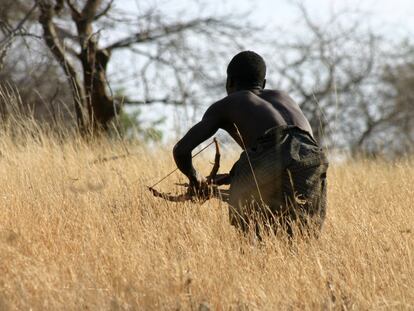 Los hadza (Tanzania) son cazadores en un entorno dominado por especies carnívoras. En la imagen, el hadza Dofu acechando a una presa.
