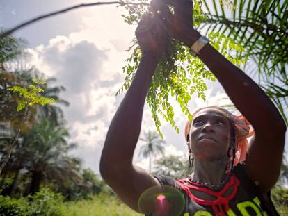 Una cooperativa de mujeres en Guinea ayuda a las agricultoras a tener más ingresos.