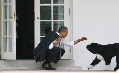 Barack Obama saluda al perro de aguas portugués de la familia, llamado 'Bo', en la Casa Blanca.