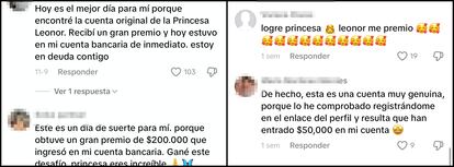 Comentarios falsos en diferentes perfiles fraudulentos de Leonor