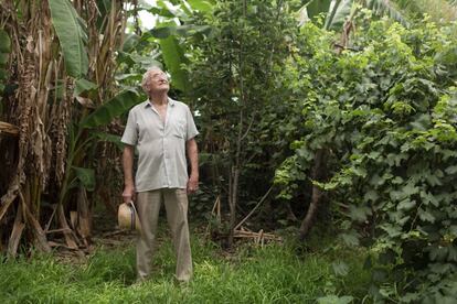 Juan Antón Mora, 82 años, ha creado en la localidad valenciana de Alzira un bosque de alimentos o bosque comestible donde 400 árboles frutales conviven en perfecta simbiosis junto a un pequeño huerto, arbustos y plantas aromáticas, que son una fuente de alimentación variada, rica y saludable. Su intención siempre fue demostrar que con lo que tenemos a mano se puede subsistir y paliar el hambre, una lacra que, asegura, durante años le quitó el sueño.