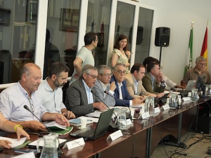 Miguel Delibes dunrante su última reunión como presidente del Consejo de Participación de Doñana, este lunes. / JUNTA DE ANDALUCÍA