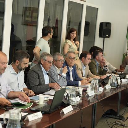 Miguel Delibes dunrante su última reunión como presidente del Consejo de Participación de Doñana, este lunes. / JUNTA DE ANDALUCÍA