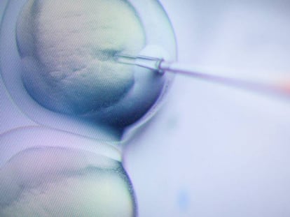 Cacharreando con moléculas: los peligros del ‘modifíquese sus células usted mismo’