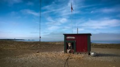 Uno de los huskys, en la base meteorol&oacute;gica de Herwighamna.