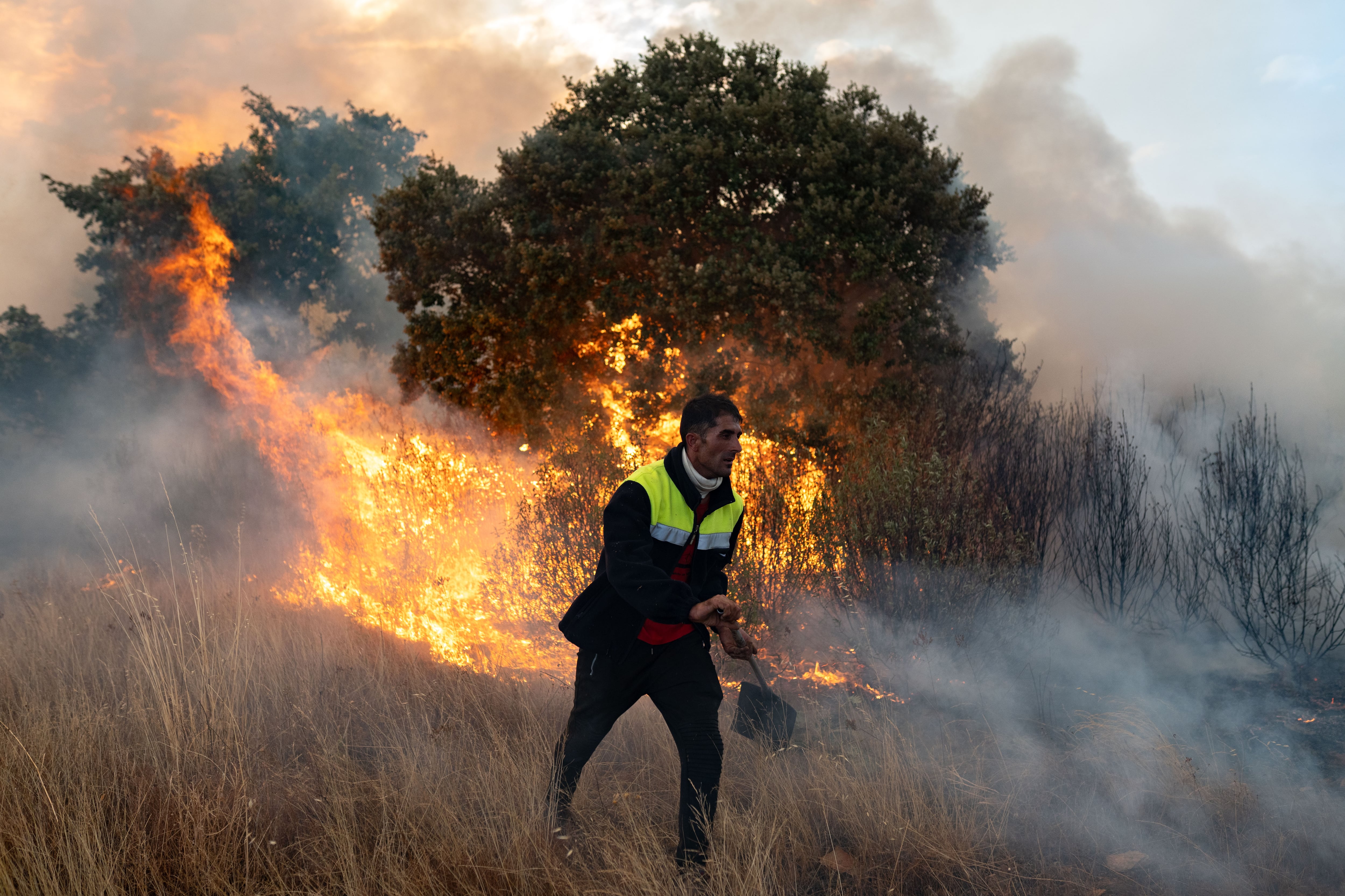 Una persona trata de apagar el fuego, a 12 de agosto de 2025, en Abejera, Zamora, Castilla y León (España).