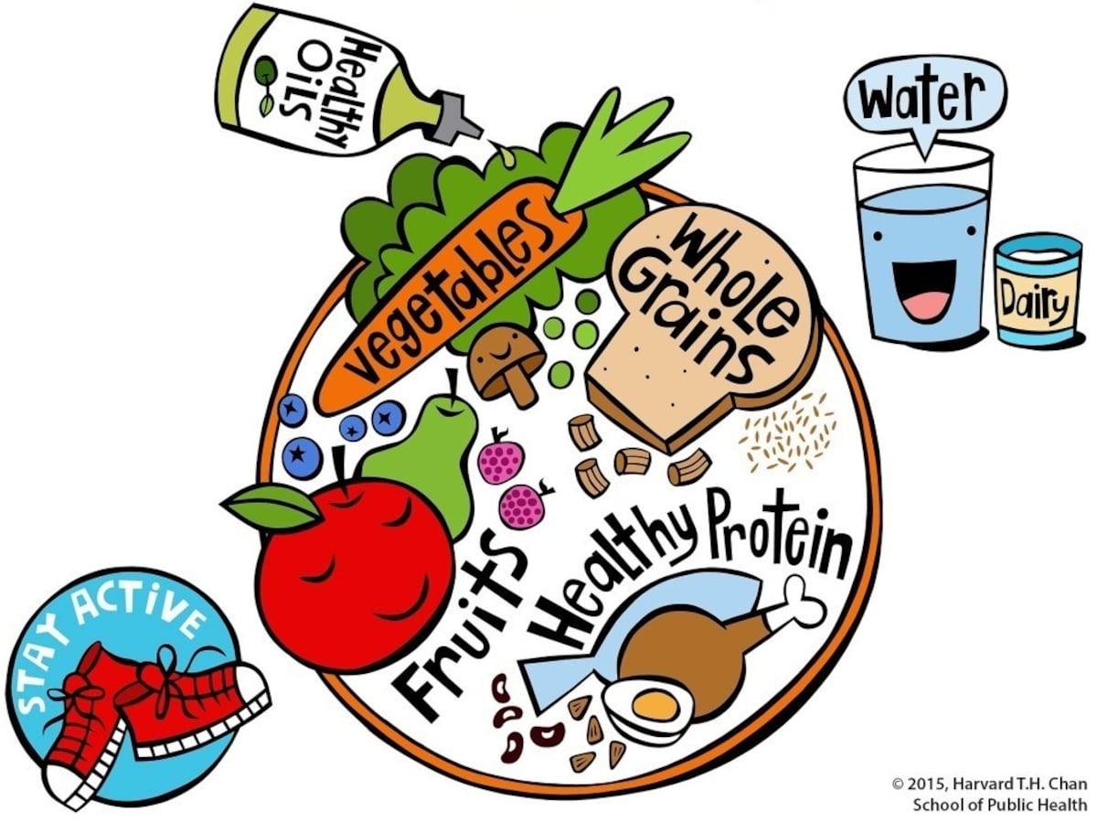 Health foods: The Harvard Kid's Healthy Eating Plate: How it promotes  healthy weight | Society | EL PAÍS English, image size:1200x899