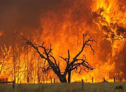 Incendio en el bosque Bunyip State, en el pueblo de Tonimbuk (Victoria), el sábado.