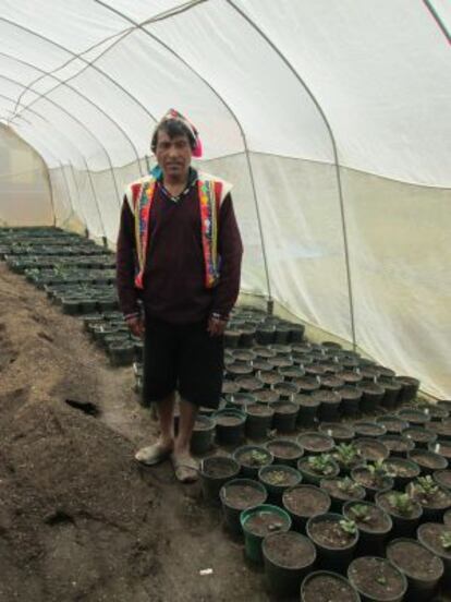 Para entrar al invernadero, donde preservan y cultivan más de 1.000 variedades de papa, es necesario desinfectarse con alcohol y limpiar los zapatos en cal.