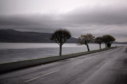 Árboles en un paseo de Rothesay, en la isla de Bute, Escocia.