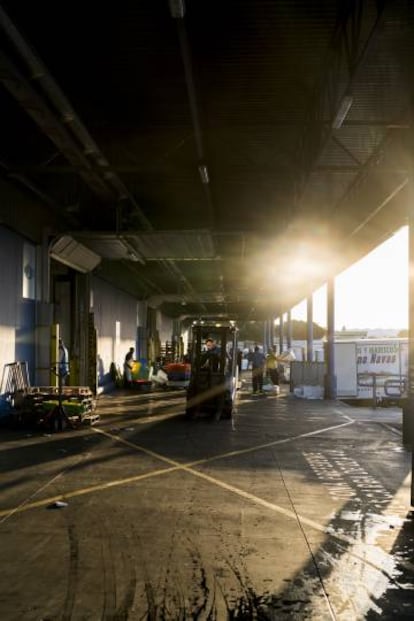 Dawn at the fish market loading bay.