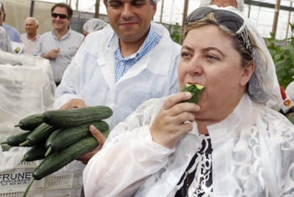 La consejera andaluza de Agricultura, Clara Aguilera, come pepinos ecológicos, ayer en un invernadero en Almería.