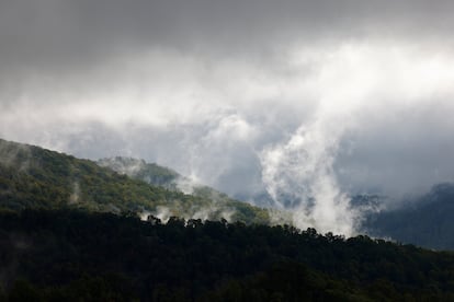 El vapor de agua se eleva en la copa de los montes mojados, mientras el sol comienza a emerger tras la tormenta en la zona de Boone, (Carolina del Norte).