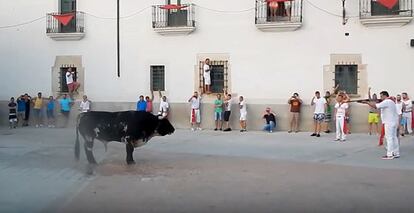 Un vecino cazador se dispone a matar de un tiro al toro Guapetón en Coria (Cáceres)