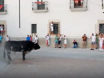 Un veí caçador es disposa a matar d'un tir el toro Guapetón a Còria (Càceres).