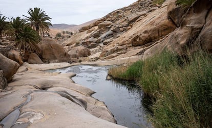 Barranco de las Penitas en Fuerteventura, Islas Canarias.