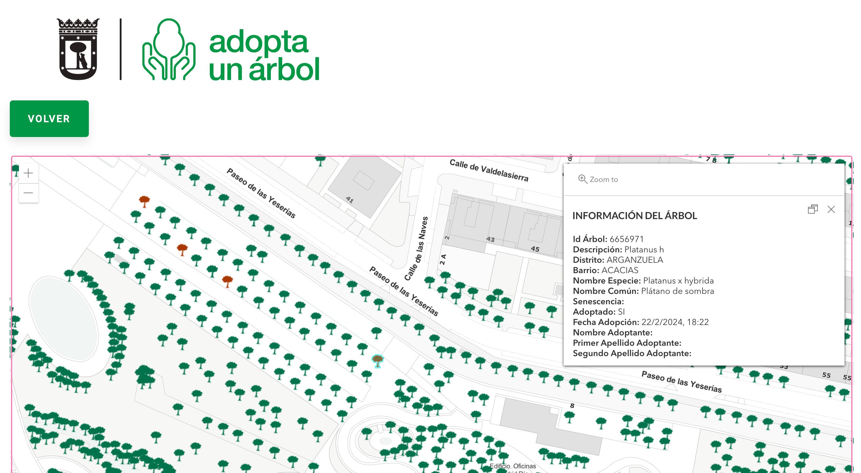 Captura de pantalla del mapa virtual de 'Adopta un árbol' que muestra el plátano de sombra que figura como adoptado, pero que realmente fue talado por las obras de la nueva estación de metro en Madrid Río.