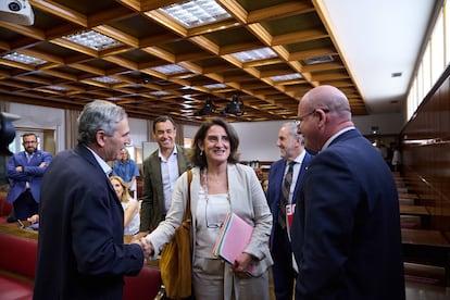 La exministra y vicepresidenta primera y comisaria de Competencia de la Comisión Europea, Teresa Ribera, llega a comparecer durante la Comisión sobre el ‘caso Koldo’ en el Senado, este lunes.