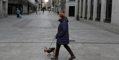 Una mujer pasea a su perro en Madrid