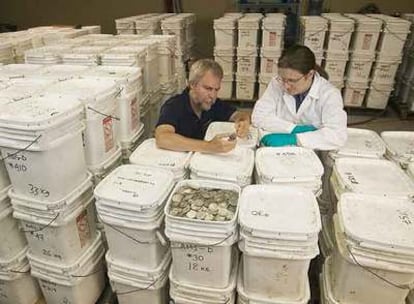El cofundador de Odyssey, Greg Stemm, examina junto a una persona de su equipo las monedas recuperadas del pecio hallado en el Atlántico.