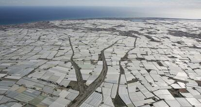 Vista a&eacute;rea de los invernaderos en El Ejido.