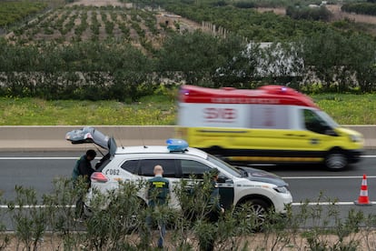 Agentes de la Guardia Civil, este jueves en el lugar donde ha sido hallado muerto el exalcalde de Gandia, Arturo Torró, en Xeresa.