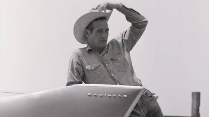 Paul Newman, con camisa y pantalón vaquero sobre un Cadillac en el rodaje de 'Hud, el más salvaje entre mil' en Texas en 1963.
 
 