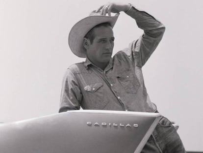 Paul Newman, con camisa y pantalón vaquero sobre un Cadillac en el rodaje de 'Hud, el más salvaje entre mil' en Texas en 1963.
 
 