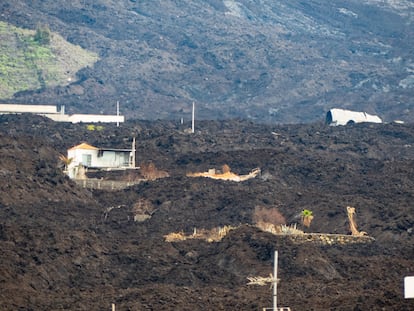 Volcan La Palma 2021