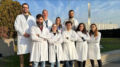 El biotecnólogo Angelo Lombardo (en primer plano, con barba y flequillo), con sus colegas del Instituto de Terapia Génica de San Raffaele Telethon, en Milán.