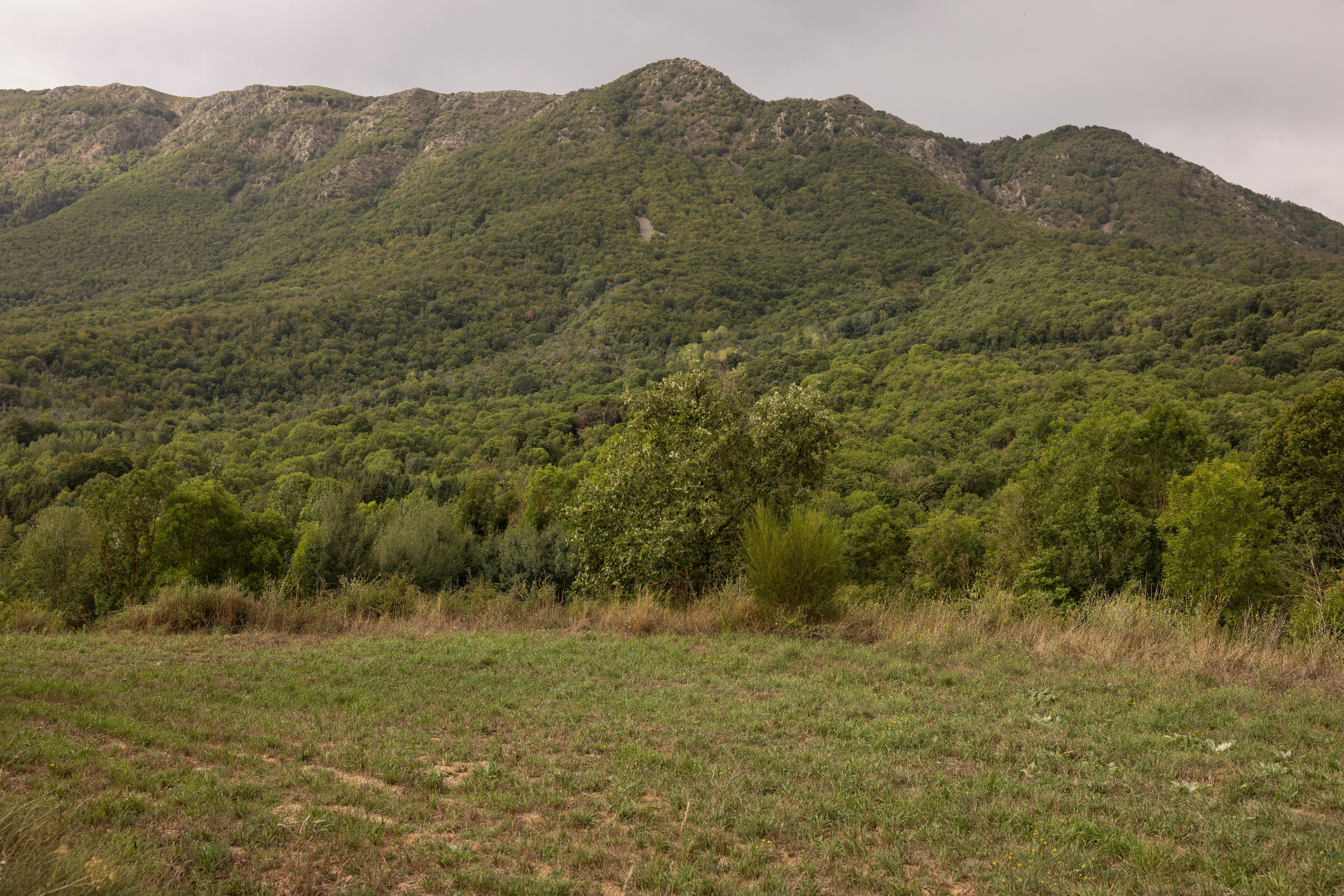 El Montseny desde un prado de Viladrau, el miércoles pasado. 