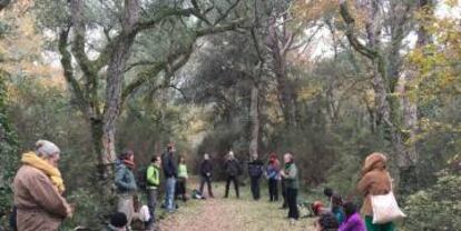 Participants en un bany de bosc.