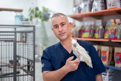 Carlos, propietario de la clinica veterinaria Madagascar, ganó un juicio contra la difamación de la dueña de una cobaya.