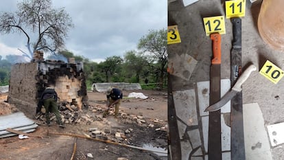 Lagos de Moreno: hallan huesos, machetes y motosierras en un predio